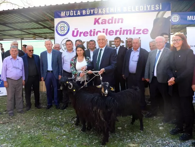 Büyükşehir 5 İlçede Daha Kadın Üreticilere Kıl Keçisi Desteği Sağlıyor