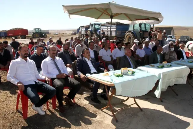 Malazgirt'te pancar alım kampanyası başladı