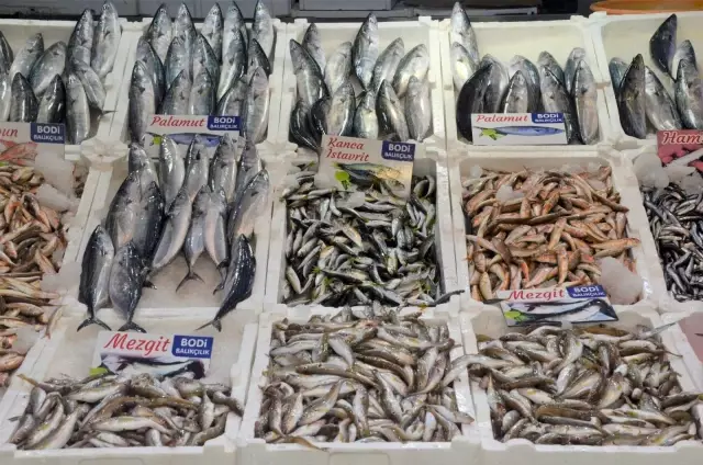Ordu'da balıkçı tezgahları şenlendi