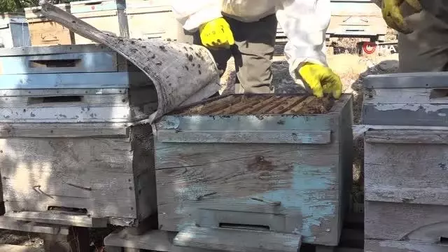 Şırnak'ta yılın son bal hasadı yapıldı