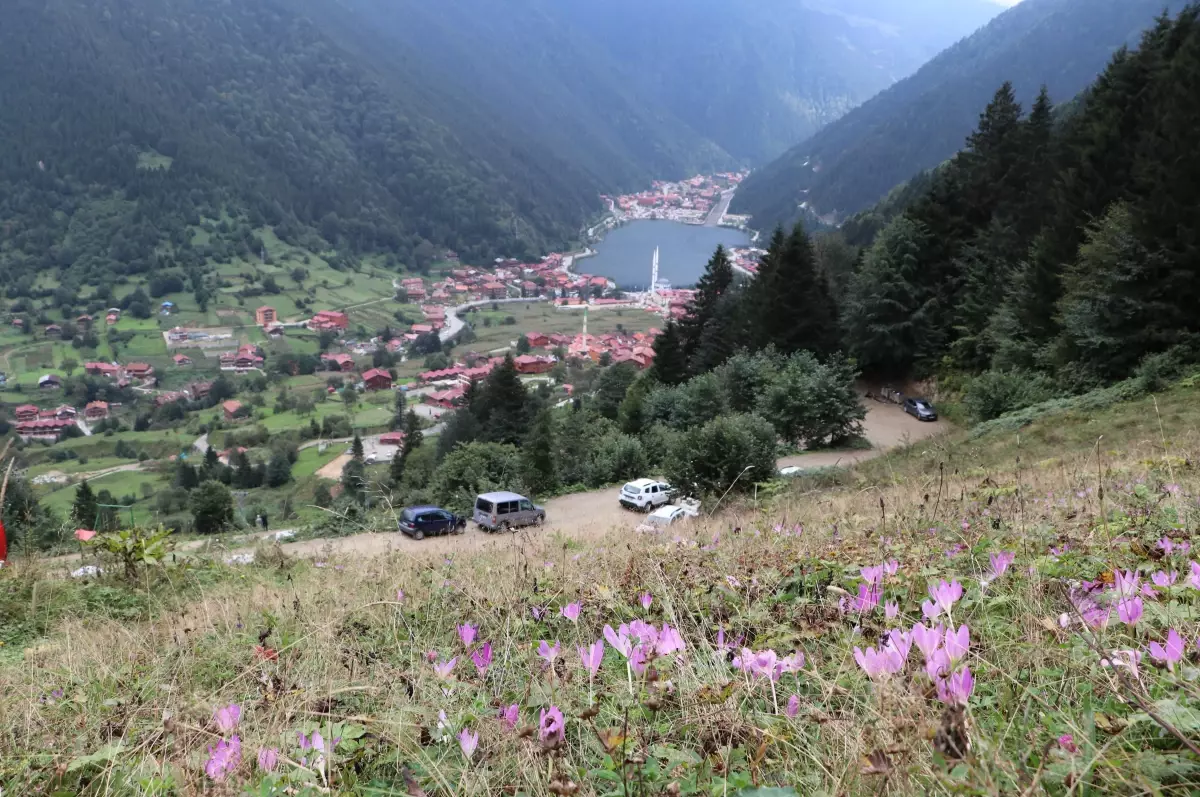 Uzungöl