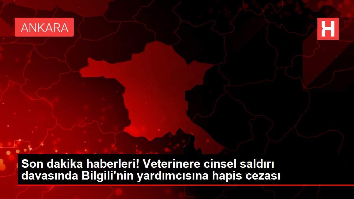 Son dakika haberleri! Veterinere cinsel saldırı davasında Bilgili'nin yardımcısına hapis cezası - Vimarsana News