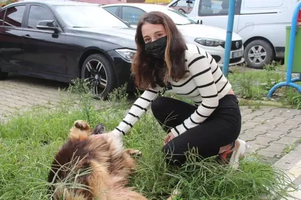 Son dakika haberleri | BELEDİYE PERSONELİNİN SOKAK KÖPEKLERİNE EZİYETİ KAMERADA