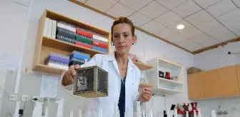 Orman Yangınları: Çam balı üretimi için yanan bölgeleri 'Basra böceği' ile aşılama önerisi (1) Orman Yangınları: Çam balı üretimi için yanan bölgeleri 'Basra böceği' ile aşılama önerisi (1)
