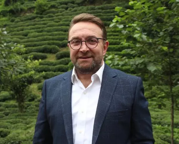 ÇAY AİLECE TOPLANDI, 100 MİLYON DOLAR ÜRETİCİYE KALDI