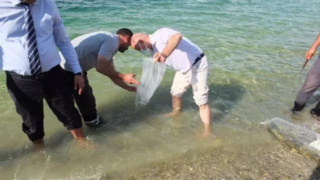 Göl ve göletlere 2,5 milyon sazan yavrusu bırakıldı
