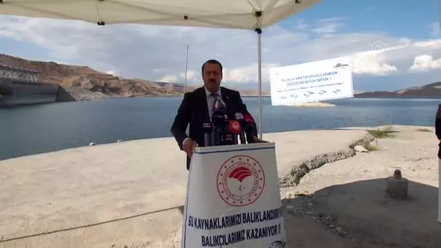 Göl ve göletlere 2,5 milyon sazan yavrusu bırakıldı