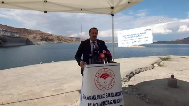 Göl ve göletlere 2,5 milyon sazan yavrusu bırakıldı