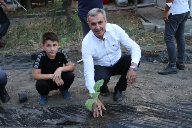 Hatay'da tarım uygulama alanına muz fidesi dikimi gerçekleşti