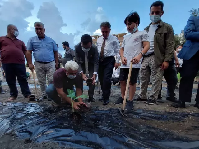 Hatay'da tarım uygulama alanına muz fidesi dikimi gerçekleşti