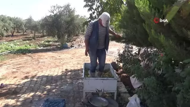Kilis'te cevizli sucuk üretimi başladı
