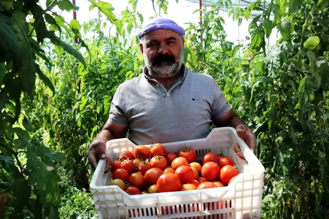 Kuraklık Vanlı çiftçileri vurdu