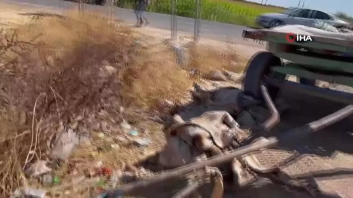Son dakika haberi! Otomobille at arabası çarpıştı: İlginç kazada 2 kişi, 1 at yaralandı