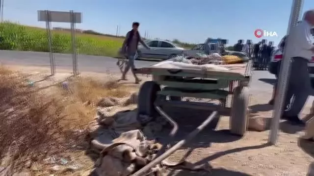 Son dakika haberi! Otomobille at arabası çarpıştı: İlginç kazada 2 kişi, 1 at yaralandı