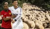 Patrice Evra, evinin yakınında koyun dolaştığı için taşınan Cristiano Ronaldo ile dalga geçti