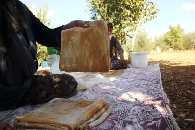 Şanlıurfa'da bağ bozumu zamanı