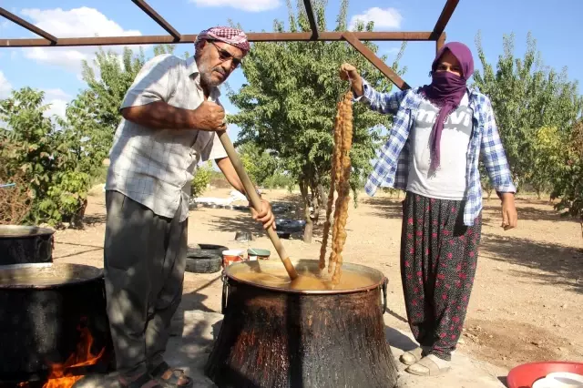 Şanlıurfa'da bağ bozumu zamanı