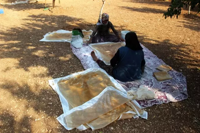 Şanlıurfa'da bağ bozumu zamanı