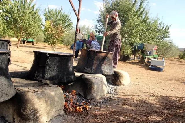 Şanlıurfa'da bağ bozumu zamanı