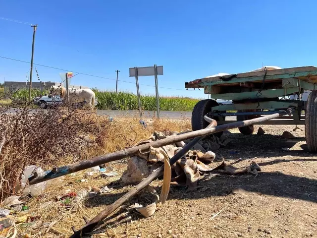 Son dakika haberi! Otomobille at arabası çarpıştı: İlginç kazada 2 kişi, 1 at yaralandı