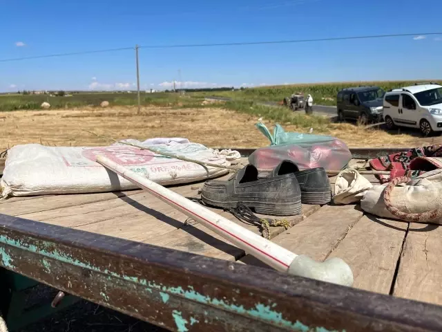 Son dakika haberi! Otomobille at arabası çarpıştı: İlginç kazada 2 kişi, 1 at yaralandı