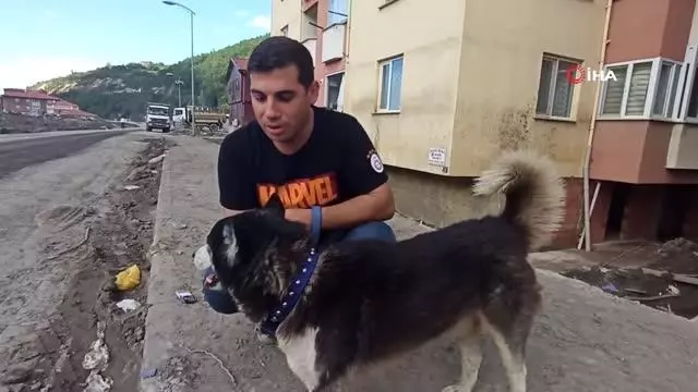 Son dakika haber... Selde hayatını kaybeden öğretmenin köpeğinden vefalı davranış