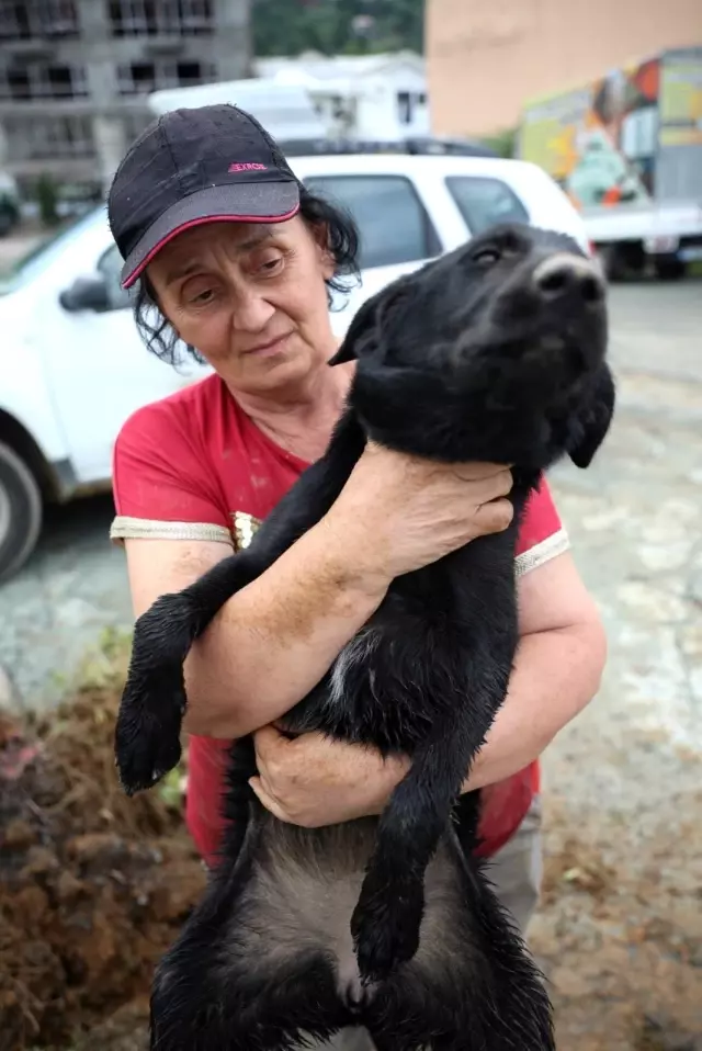 Sokak hayvanlarının kaybolduğunu fark ettiler, dedektif gibi kayıp köpeklerin izini sürdüler