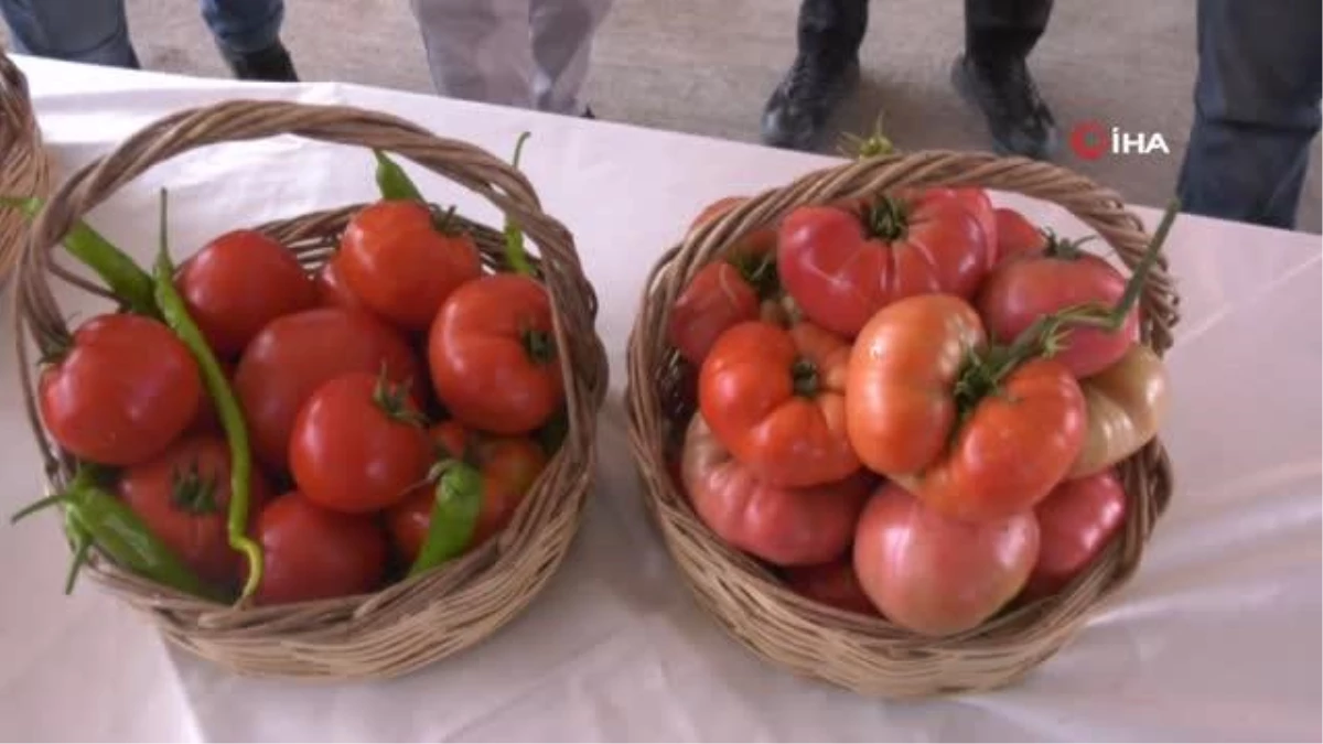 Tarım fuarında elma ve domates güzellik yarışması yapıldı