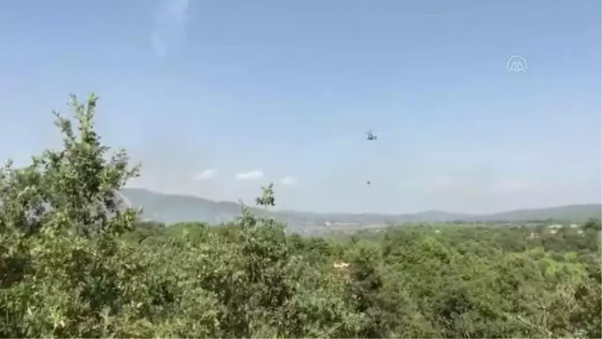 BALIKESİR - İvrindi'de çıkan yangında ormanlık alan zarar gördü