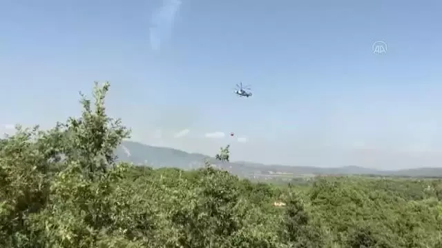 BALIKESİR - İvrindi'de çıkan yangında ormanlık alan zarar gördü