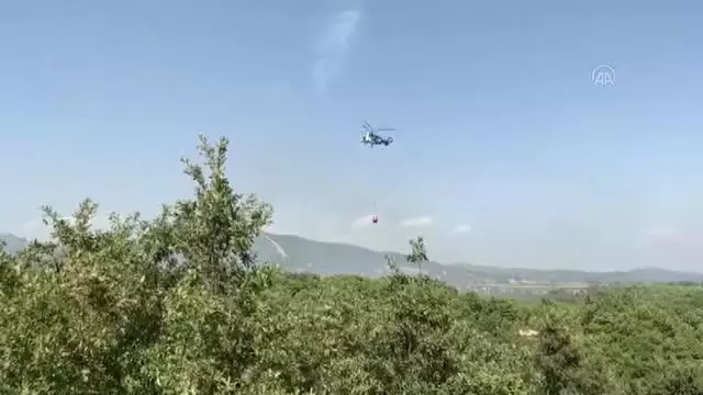 BALIKESİR - İvrindi'de çıkan yangında ormanlık alan zarar gördü