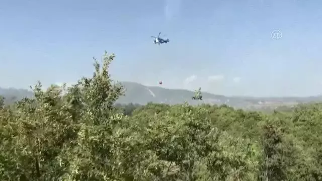 BALIKESİR - İvrindi'de çıkan yangında ormanlık alan zarar gördü