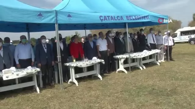 Çatalca'da damlama sulama yöntemiyle yetiştirilen çeltiklerin hasadı yapıldı