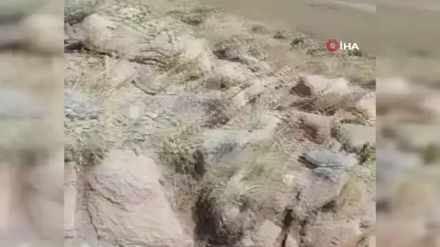 Define avcıları jandarmadan kaçamadı