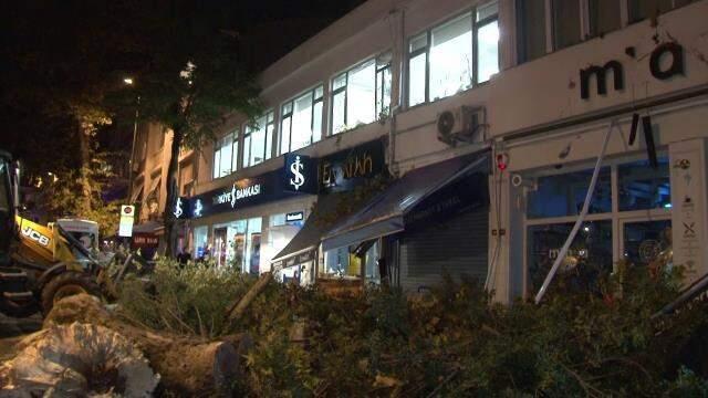 Fırtına nedeniyle devrilen ağaçtan kıl payı kurtuldu! Olay anı güvenlik kamerasına yansıdı