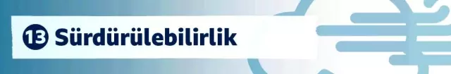 İklim sözlüğü: Krizi ve çözüm önerilerini anlamak için bilmeniz gereken 15 kavram