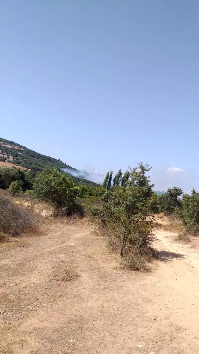 İvrindi'de çıkan orman yangını büyümeden söndürüldü