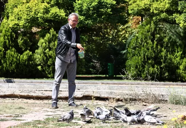 Karavanını hayvan barınağına dönüştüren Kuşçu Ahmet in 40 yıllık sevdası