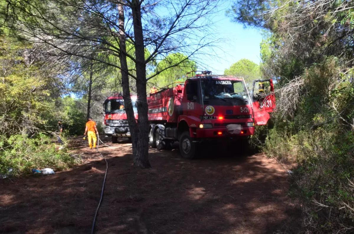 Son dakika haberi | Manavgat'ta suçüstü yakalanan şüphelinin daha önce de orman yangını çıkardığı belirlendi