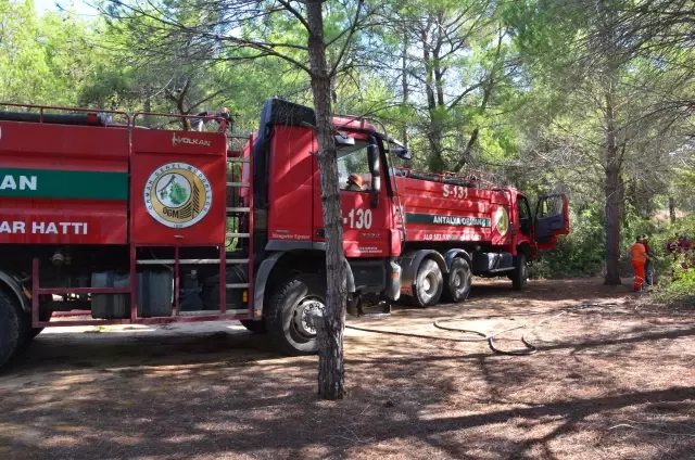 Son dakika haberi | Manavgat'ta suçüstü yakalanan şüphelinin daha önce de orman yangını çıkardığı belirlendi