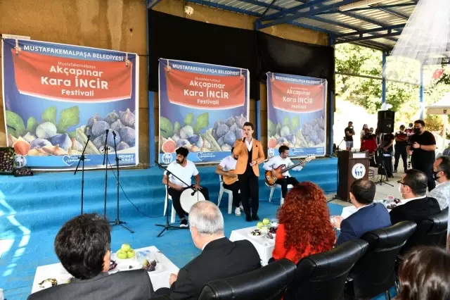 Mustafakemalpaşa Kara incir'in yeni merkezi olacak