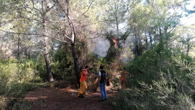 Antalya'da ormanı yakmaya çalışan şüpheli suçüstü yakalandı