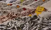 İstavrit bolluğu yaşanınca fiyatı 25 TL'den 8 TL'ye geriledi
