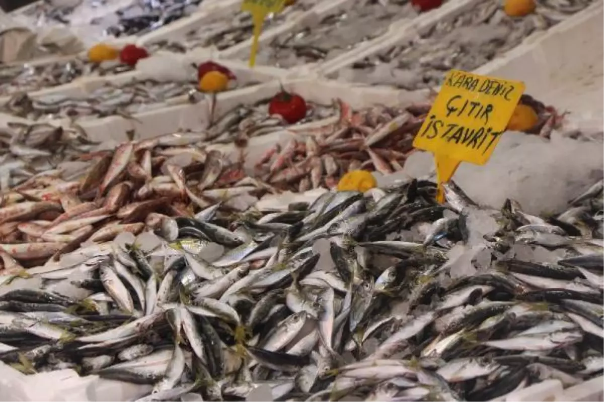 İstavrit bolluğu yaşanınca fiyatı 25 TL'den 8 TL'ye geriledi
