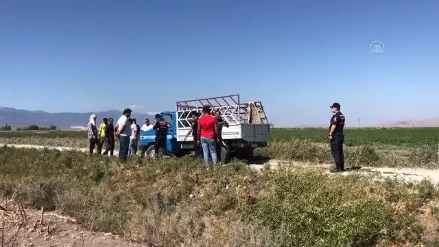 Sulama kanalına düşen kamyonetteki 4 işçi yaralandı