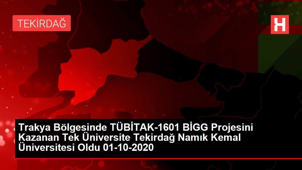 Trakya Bölgesinde TÜBİTAK-1601 BİGG Projesini Kazanan Tek Üniversite Tekirdağ Namık Kemal Üniversitesi Oldu 01-10-2020