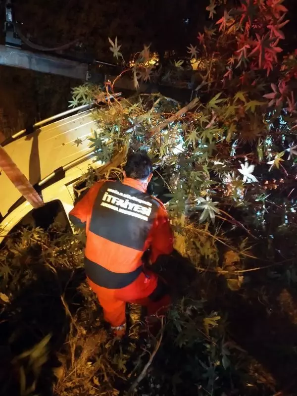 Fethiye'de kamyonet dereye yuvarlandı 1 yaralı