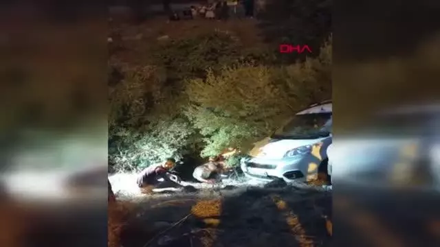 Fethiye'de kamyonet dereye yuvarlandı 1 yaralı