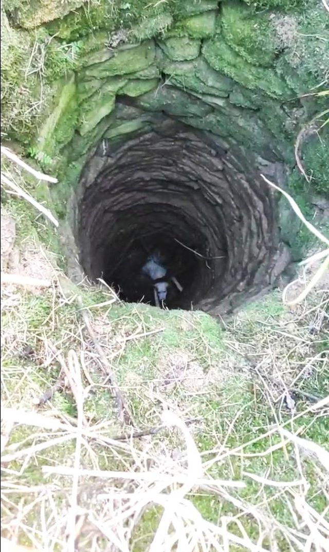 10 metre derinligindeki kuyuya dusen av kopeg 5 14407935 o