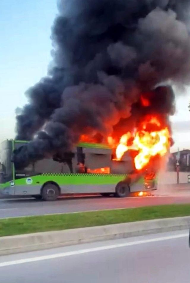 belediye otobusu alev alev yandi 4 14408571 o